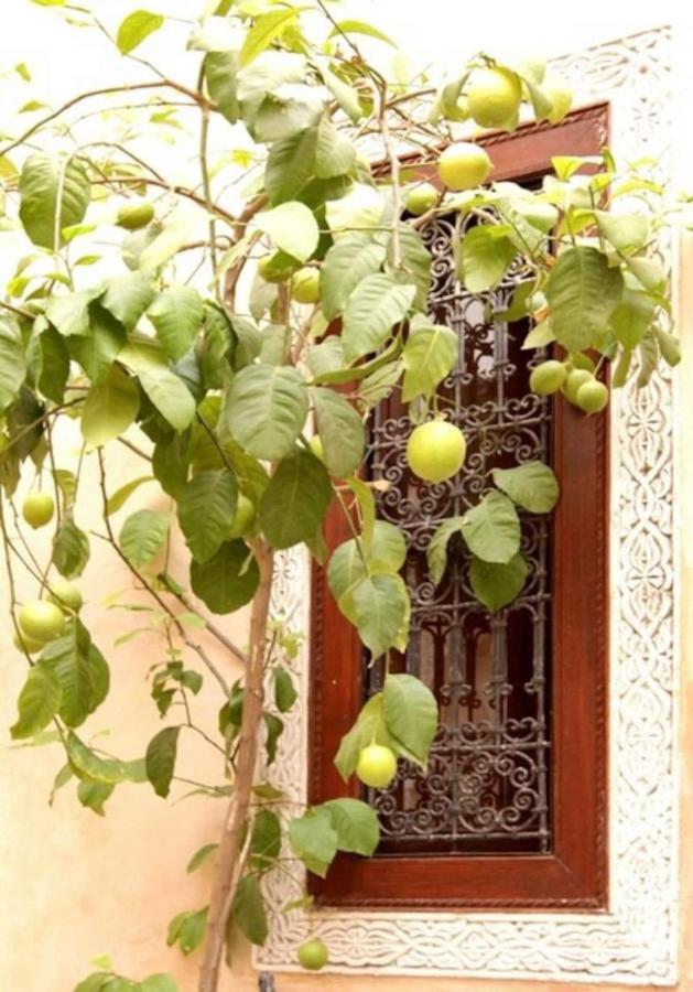 Riad Dar Rania Marrakech Medina Jemaa El Fna Marrakesh Exterior photo